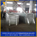 Hot Dipped Galvanized Pointed Anchor With Bolts